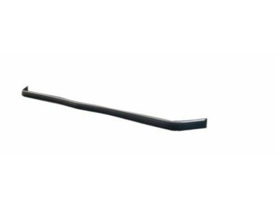 GM 15574113 Strip,Front Bumper Rubber