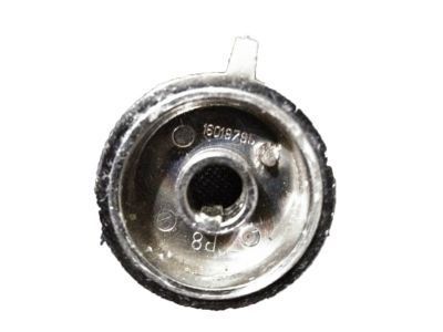 GM 16019795 Knob,Radio Speaker Control