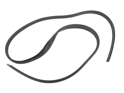Pontiac Grand Am Weather Strip - 22657721