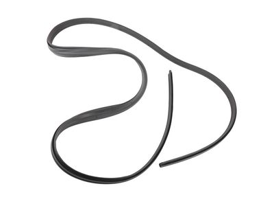 Pontiac Grand Am Weather Strip - 22657721