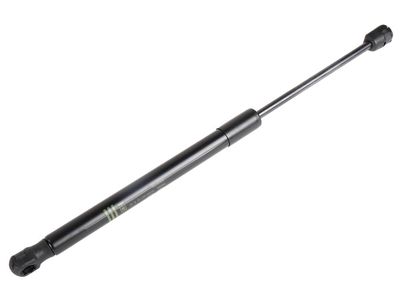 GM 85609789 STRUT ASM-HOOD 85609789 GM STRUT ASM-HOOD Product Photo 1 of 2