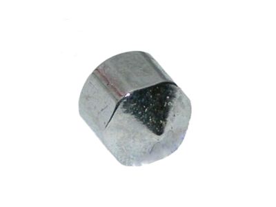 GM 22049789 Cap,Finial