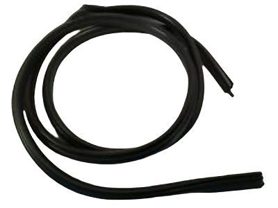 Hummer H2 Door Seal - 25977403