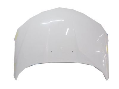 GM 84092169 Hood Asm