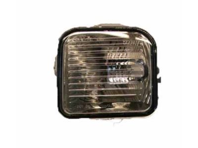 GM 15816666 Lamp,Parking & Turn Signal