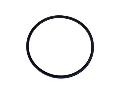 GM 24260105 Seal, Automatic Transmission Torque Dampener Bypass Clutch Piston I 24260105 GM Seal, Automatic Transmission Torque Dampener Bypass Clutch Piston I Product Photo 1 of 1