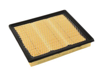 GM Air Filter - 20972655