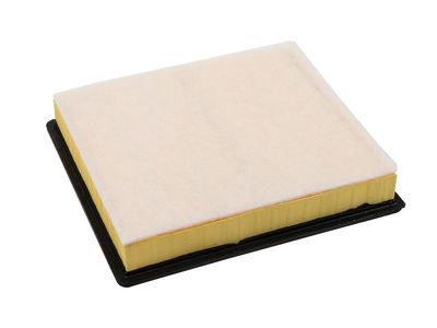 GM Air Filter - 20972655