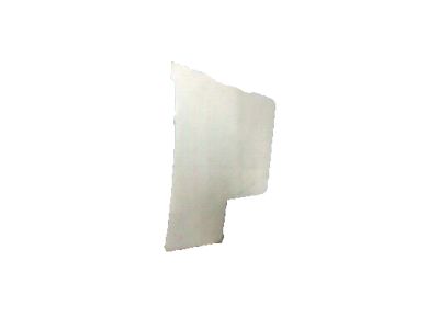 GM 25932621 Protector, Rear Side Door Outer Panel Rear
