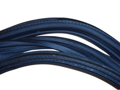 GM 13114514 Weatherstrip Asm,Lift Gate