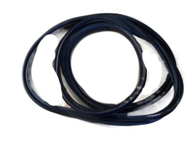 2009 Saturn Astra Weather Strip - 13114514