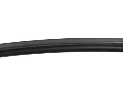 Chevrolet Bolt EUV Weather Strip - 42673428