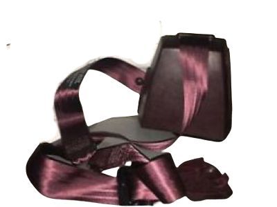 GM 12377464 Belt Kit,Passenger Seat (Retractor Side) *Ruby Red *Red
