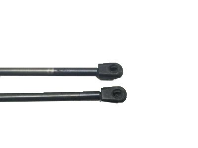 GM 15854712 Strut,Lift Gate