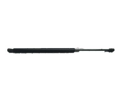 GM 15854712 Strut,Lift Gate