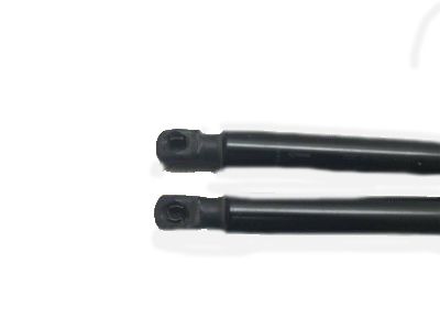 GM 15854712 Strut,Lift Gate