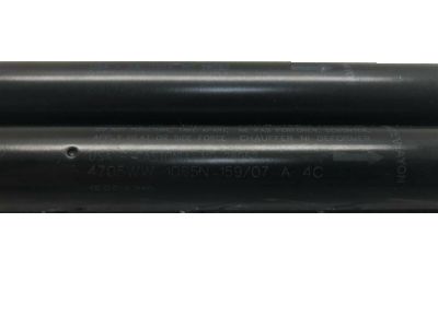 GM 15854712 Strut,Lift Gate