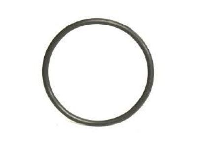 GM 12600313 Seal, Fuel Pump Housing (O Ring)