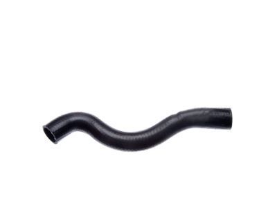 1996 Buick Century Radiator Hose - 10236565