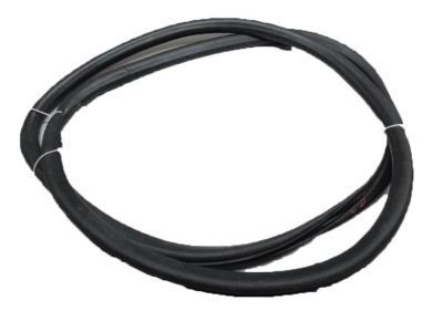 2012 Chevrolet Cruze Weather Strip - 95021340