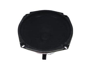 GM 16238645 Speaker Assembly, Radio Rear