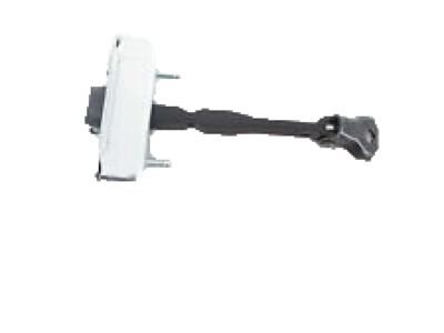 GM 15869083 Link Assembly, Rear Side Door Check