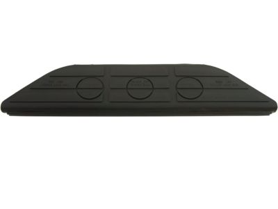 GM 15686281 Pad,Rear Bumper Step Center