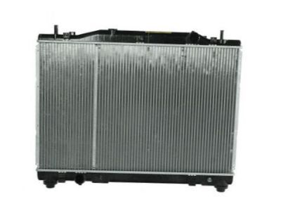 GM 19259456 Radiator Assembly