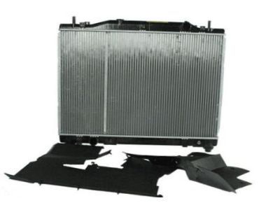 GM 19259456 Radiator Assembly