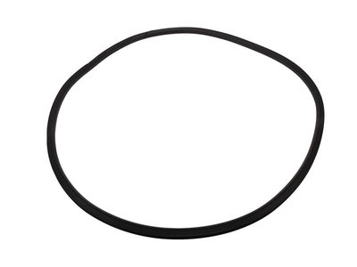 2015 Chevrolet Volt Door Seal - 20993868