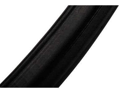 2015 Chevrolet Volt Door Seal - 20993868