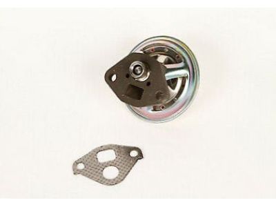 GM 19210662 Valve Kit,EGR