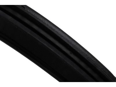 2024 Cadillac XT5 Door Seal - 84921199