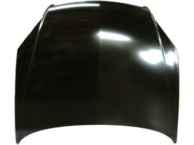 GM 89023526 Hood Asm