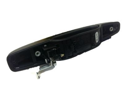 GM 84053440 Handle Assembly, Front Side Door Outside