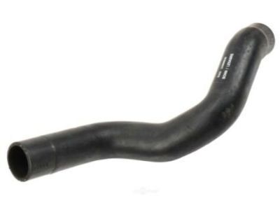 Buick Lesabre Radiator Hose - 25666930