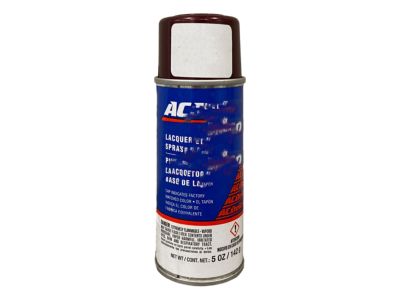 GM 19355018 Paint,Touch, Up Spray (5 Ounce)
