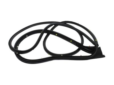 GM 84769032 Weatherstrip Assembly, Rear S/D Blw Belt Rr Aux