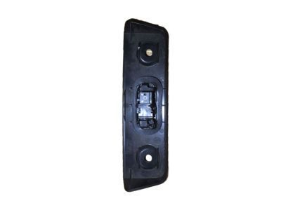 39069410 - Genuine GM Handle Assembly, Lift Gate Outside