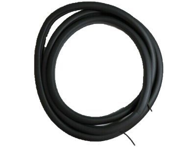 Cadillac CTS Weather Strip - 84056851