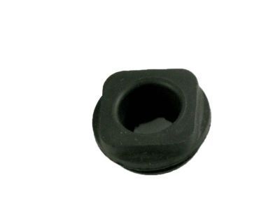 GM 3989348 Grommet, Special