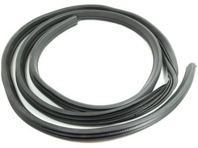 GM 25931894 Weatherstrip,Rear Door