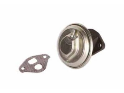 GM EGR Filter - 19210659