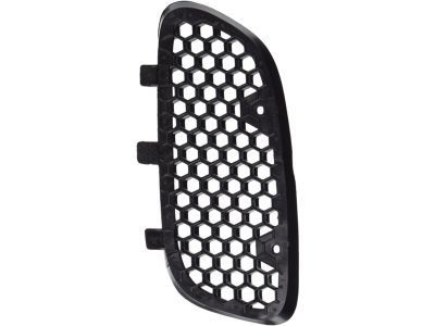 GM 10283640 Grille, Radiator *Black