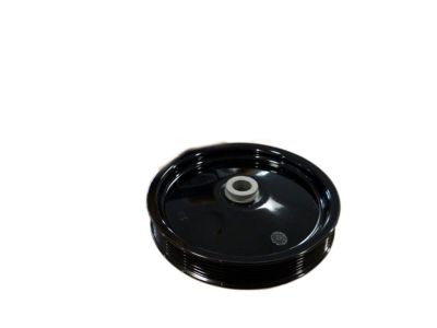 GM 12559890 Pulley, P/S Pump