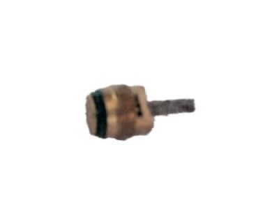 GM 10245619 Core,A/C Refrigerant Service Valve