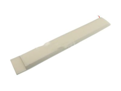GM Door Moldings - 25991800
