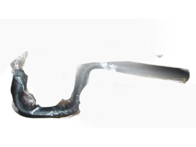 GM 98004176 Hose Assembly, Heater Outlet