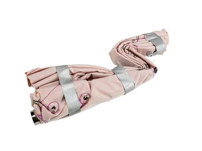 22772762 GM Driver Seat Side Airbag Product Photo 2 of 3