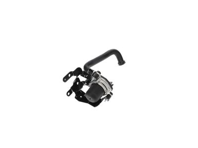 GM Secondary Air Injection Pump - 12584904